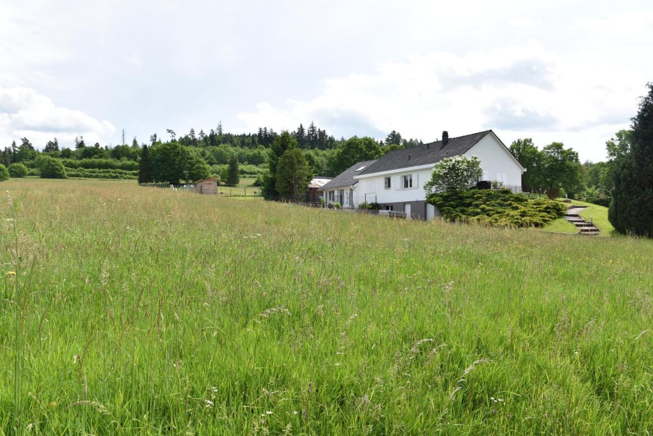 Au Gres Des Vosges Villa Remoneix Luaran gambar